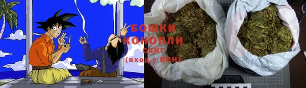 PSILOCYBIN Беломорск